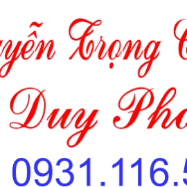 Khắc dấu tại Bình Phước - Đồng Nai lấy liền